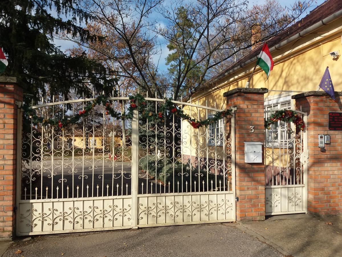 Platan Szallashely Hotel Sandorfalva Exterior photo